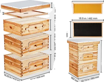 Zdjęcie produktu dla Zestaw startowy Beehive, 100% cedr pokryty woskiem pszczelim, przezroczysta konstrukcja akrylowa, 2ZHGH