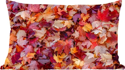 Produktbild von MuchoWow® Zierkissen Sofakissen Wohnzimmer Dekokissen 50x30 cm Herbstblätter - Wohnzimmerdekoration - Polster mit Photo