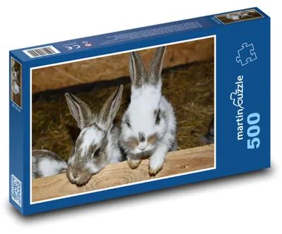 Obrázek produktu pro Puzzle 500 Králíci na venkově - martinpuzzle