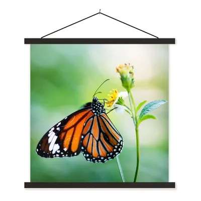 Produktbild von MuchoWow® Textilposter Schmetterling - Blumen - Insekten 40x40 cm mit schwarzem Rahmen - Fotos