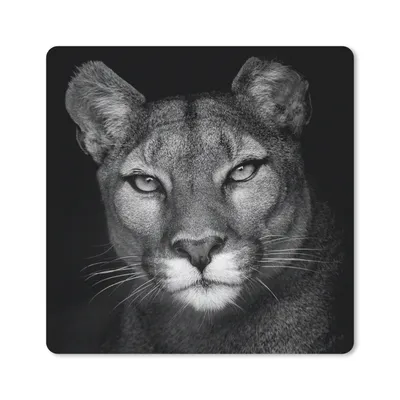 Produktbild von MuchoWow® Mauspad Mousepad Tierprofil Puma in schwarz und weiß 20x20 cm - Mousepads - Maus Mat - Pad - Mausunterlage - Desk Mat - Bureauartikeln