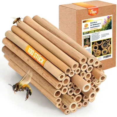 Produktbild von BEESI 100x Bambusröhrchen für Insektenhotel I 14 cm Länge I Füllmaterial Wildbienen Zubehör I Bienenhotel