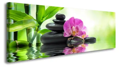 Obrázek produktu pro Obraz na plátně Wellness Spa 120x40 cm zarámovaný