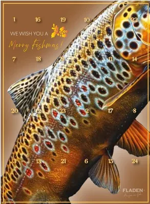 Produktbild von Fladen JULkalender 5.0 24 Adventskalender Premium Weihnachtskalender Geschenk für Angler