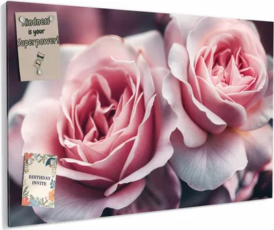 Produktbild von Magnettafel 60x40cm magnetisch & beschreibbar Metall-Board - Rosenblüten Duo