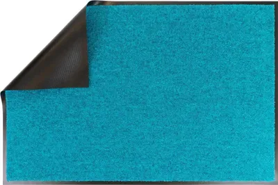 Produktbild von Primaflor Schmutzfangmatte CLEAN Türkis 40x60cm - 13 Farben & 6 Größen - Strapazierfähige Türmatte, Rutschfester Türvorleger, Sauberlaufmatte