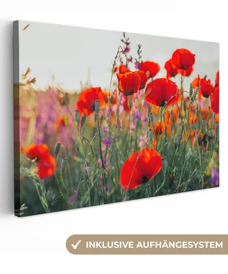 Produktbild von MuchoWow® - Leinwandbilder - Mohn - Blumen - Rot - Lila - Wiese, Wandbild, Wanddeko Bilder Wohnzimmer, 90x60 cm