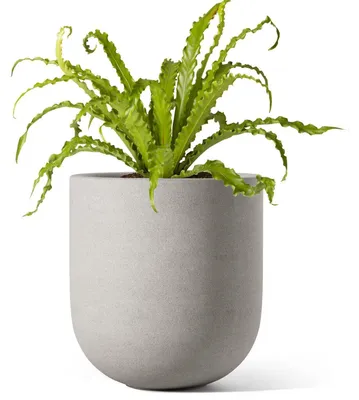 Immagine prodotto di Vaso in Vetroceramica, 15 cm, vaso interno con foro di drenaggio, grigio, a forma di cilindro, per piante da interno, decorazione