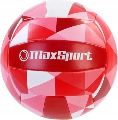 Immagine prodotto di ARTYK Pallavolo MaxSport 133282