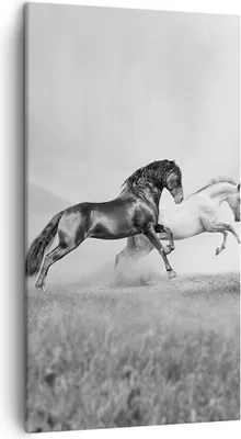 Produktbild von Bild auf Leinwand - Leinwandbild - Pferde Tiere Galopp Wiese - 45x80cm - Wand Bild - Wanddeko - Leinwanddruck - Bilder - Kunstdruck - Wanddekoration - Leinwand bilder - Wandkunst - PA45x80-2683