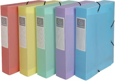 Produktbild von Exacompta 16270E Archivbox Cartobox A4 PP Chromaline Pastell farblich sortiert