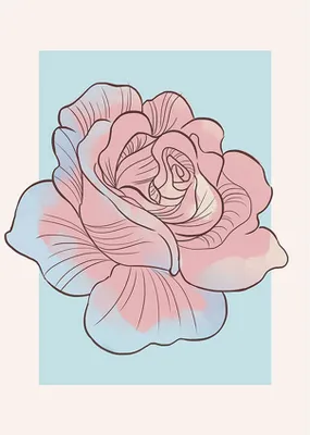 Produktbild von Komar Poster Rose Rosa und Blau - 610103 - 50 x 70 cm
