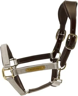Image de Kentucky Horsewear licol anatomique en nylon