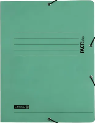 Produktbild von BRUNNEN Sammelmappe A4 FACT! grün Gummizug 102015450