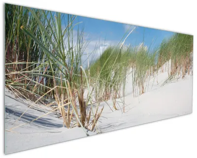 Produktbild von Wallario Küchenrückwand aus Glas, Größe: 125 x 50 cm, Motiv: Düne am Strand unter blauem Himmel | Spritzschutz | abwischbar | pflegeleicht | in