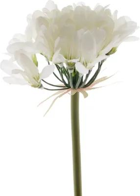 Produktbild von Blume Seidenblume Lilie Schmucklilie weiß 60 cm