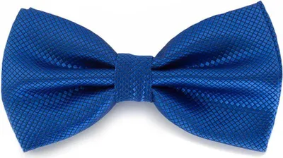 Produktbild von Oblique Unique Fliege Schleife kariert Hochzeit Anzug Smoking - königsblau