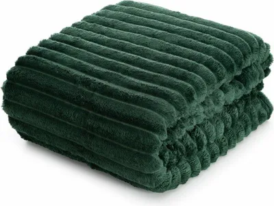Produktbild von EUROFIRANY | Decke - Kuscheldecke - 150 x 200 cm - grüne Sofadecke - Streifen