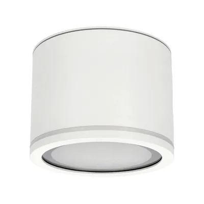 A white cylindrical ceiling light fixture against a white background.