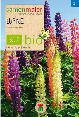 Produktbild von Lupine Mischung - Saatgut für zirka 10 Pflanzen