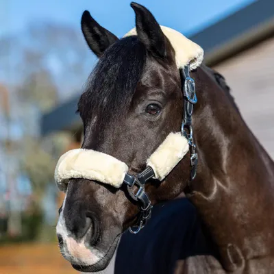 Produktbild von LeMieux Simuwool Headcollar Set, Farbe:Natural