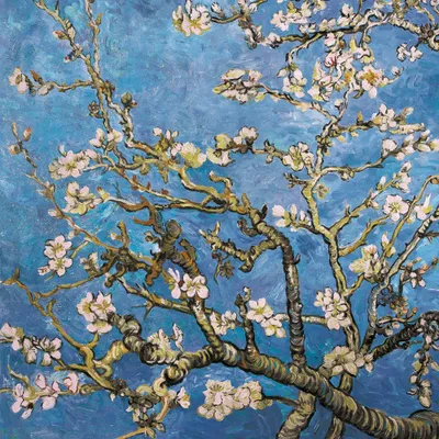Produktbild von Vincent Van Gogh Kunstdruck Bild - Blühende Mandelbaumzweige, 1890 (40 x 40 cm)