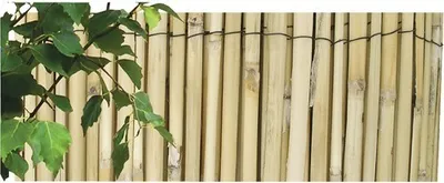 Immagine prodotto di Stuoia di canne naturali spaccate 2 x 5 m