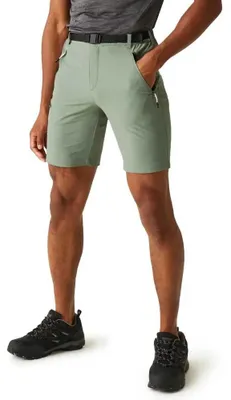 Obrázek produktu pro Regatta Xert Stretch III, krátké kalhoty, zelená, velikost 50 / Regular, pánské, zelená, velikost 50