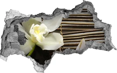 Produktbild von Selbstklebender Loch-3D-Aufkleber 95x73 cm Wandbilder Orchidee