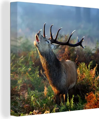 Produktbild von MuchoWow® - Leinwandbilder - Hirsche - Wald - Nebel, Wandbild, Wanddeko Bilder Wohnzimmer, 50x50 cm