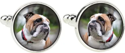 Produktbild von Bulldog, Englische Bulldogge - Manschettenknöpfe, Hemdverzierung, Hemdanhänger der Marke Art-Dog