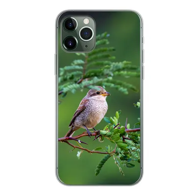 Produktbild von MuchoWow® Handyhülle Schutzhülle Hülle für iPhone 11 Pro Vogel - Baum - Wald Silikon Softcase Handy Hülle - Handy