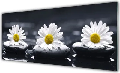 Produktbild von Küchenrückwand aus Glas 125x50cm Spritzschutz Gänseblümchen Steine Pflanzen
