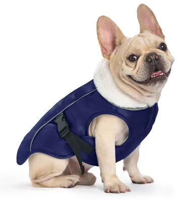 Immagine prodotto di Cappotto per cani, antivento, riflettente, caldo, colore blu, taglia S