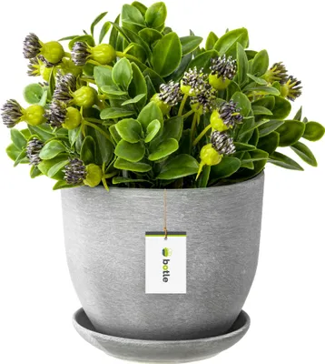 Produktbild von Keramiktopf Pflanztopf Blumenchale Übertopf Pflanzkübel handbemalt D 160 mm beton hell Grau Keramik inkl. Untersetzer Wasserablaufloch