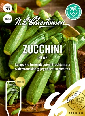 Produktbild von Zucchini Leila F1 | Zucchinisamen von N.L. Chrestensen