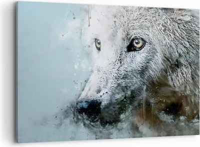 Produktbild von Bild auf Leinwand - Leinwandbild - Einteilig - Weiß Der Wolf Bild - 100x70cm - Wand Bild - Wanddeko - Wandbilder - Leinwanddruck - Bilder - Wanddekoration - Leinwand bilder - Wandbild - AA100x70-4623