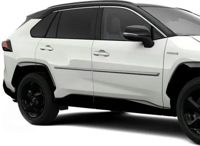 Immagine prodotto di TOYOTA Rav4 rivestimento porta laterale cpl PT938-42190-01 OE
