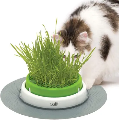 Produktbild von Sinnesgarten-Pflanzgefäß