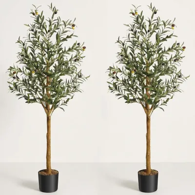 Obrázek produktu pro Sada 2 kusů – Umělá olivovníková rostlina, výška 150 cm – Realistická pokojová rostlina do interiéru, kanceláře a na terasu, nevyžaduje péči