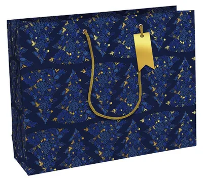 Produktbild von Clairefontaine Weihnachts-Geschenktüte "Azurite" groß