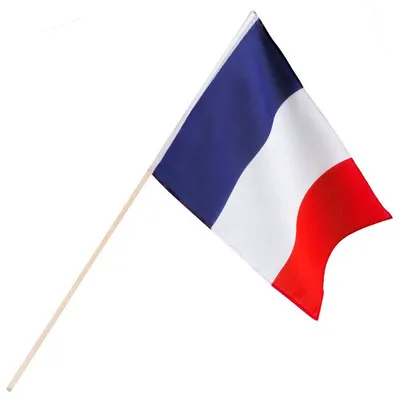 Produktbild von Polyester Handfahne Frankreich