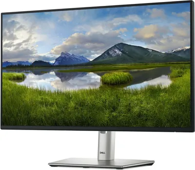 Produktbild von Dell 61. 0cm(24")P2425HE 16:9 HDMI+DP+USB-C+VGA IPS Lift retail