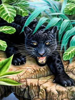 Produktbild von Diamond Painting Vollbild 30x40 mit runden Steinen