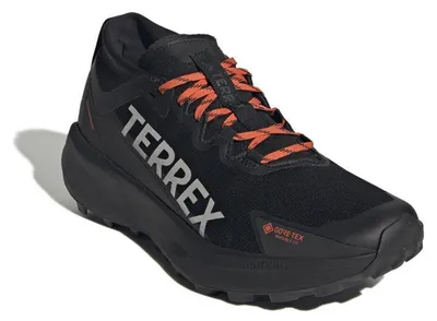 Obrázek produktu pro Adidas Performance Pánské mokasíny Terrex Agravic GTX Trail IH2939 black
