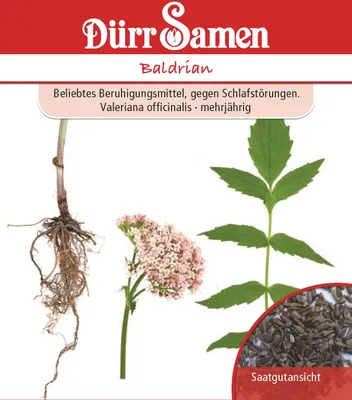 Produktbild von Baldrian | Heilpflanzensamenvon Dürr Samen