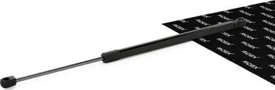 Produktbild von RIDEX Gasfeder Motorhaubendämpfer 539mm für VW Touareg (7LA, 7L6, 7L7) 125N 514G0027