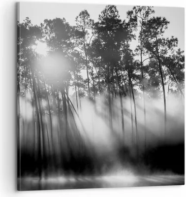 Produktbild von Bild auf Leinwand - Leinwandbild - Einteilig - Wald Kiefer Sonne - 60x60cm - Wand Bild - Wanddeko - Wandbilder - Leinwanddruck - Bilder - Wanddekoration - Leinwand bilder - Wandbild - AC60x60-4829