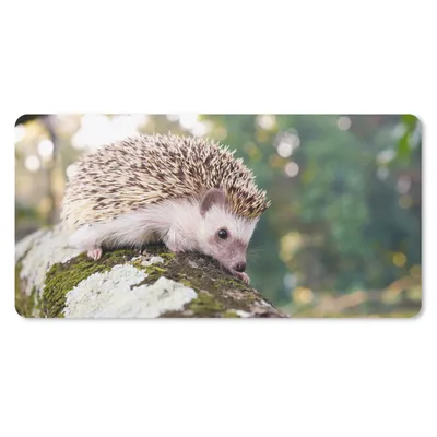 Produktbild von MuchoWow® Schreibtischunterlage Baby - Igel - Baum 80x40 cm - XXL Mauspad - Gaming Mauspad