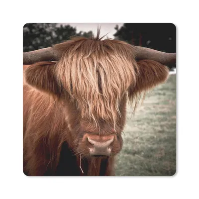 Produktbild von MuchoWow® Mauspad Mousepad Schottischer Highlander - Baum - Gras 20x20 cm - Mousepads - Maus Mat - Pad - Mausunterlage - Desk Mat - Bureauartikeln